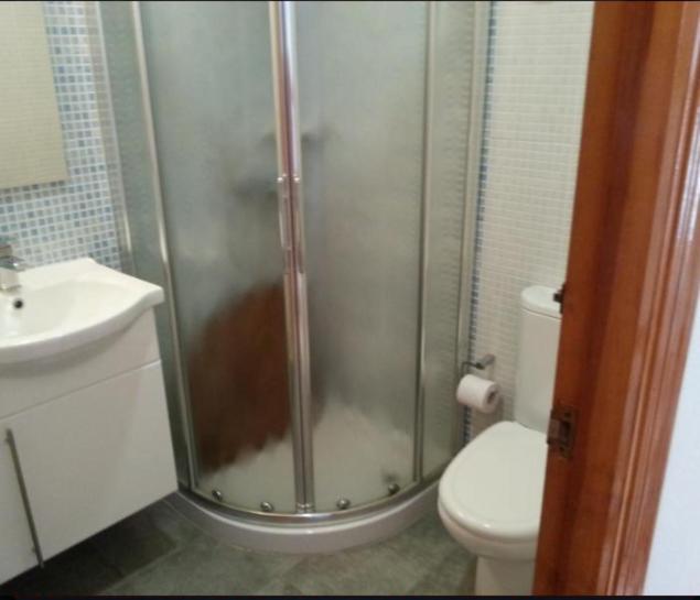 Apartamento En La Playa De San Jose-Sjjc Szoba fotó